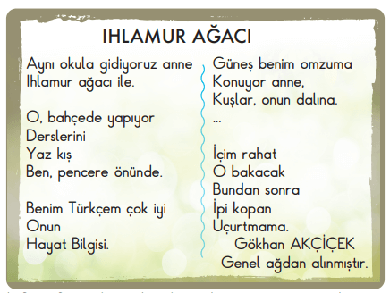 Ihlamur Ağacı Şiiri Cevapları