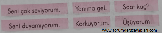 2. Sınıf Türkçe Ders Kitabı Sayfa 13 Cevapları