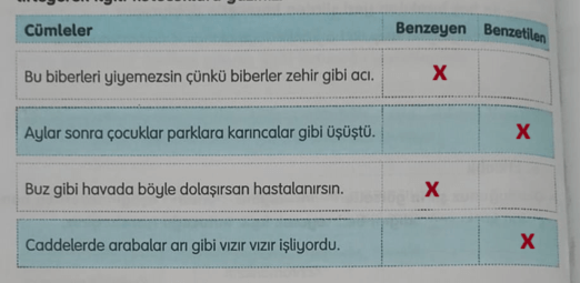 4. Sınıf Türkçe Ders Kitabı Sayfa 28 Cevapları Tuna Yayıncılık