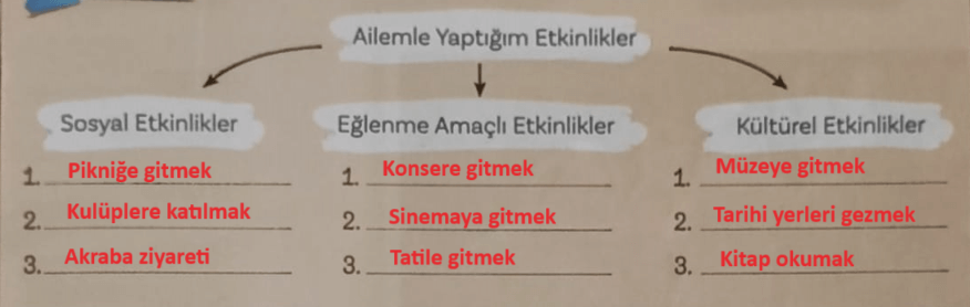 5. Sınıf Türkçe Ders Kitabı Sayfa 43 Cevapları MEB Yayınları