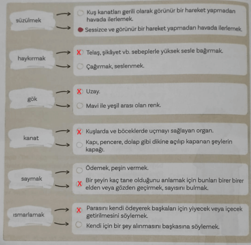 5. Sınıf Türkçe Ders Kitabı Sayfa 56 Cevapları MEB Yayınları