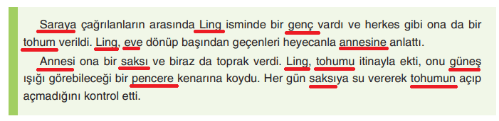 6. Sınıf Türkçe Ders Kitabı Sayfa 31 Cevapları Yıldırım Yayınları1