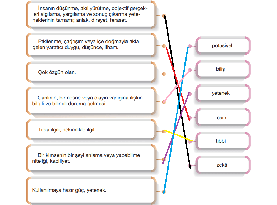 7. Sınıf Türkçe Ders Kitabı Sayfa 34 Cevapları Özgün Yayıncılık