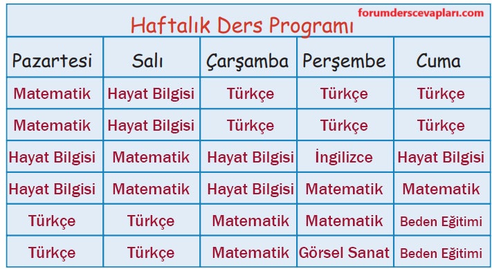 2. Sınıf Hayat Bilgisi Ders Kitabı Sayfa 22 Cevapları MEB Yayınları