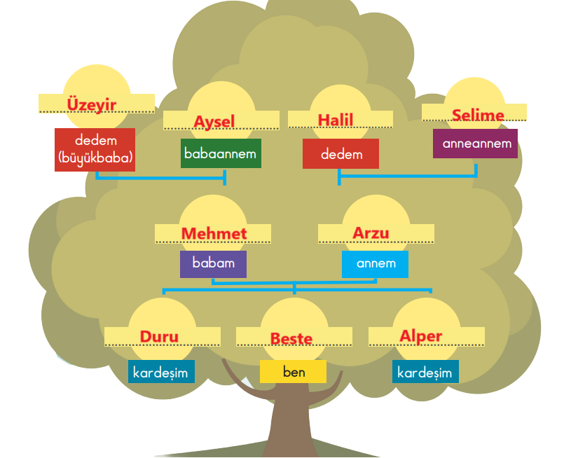 2. Sınıf Hayat Bilgisi Ders Kitabı Sayfa 67 Cevapları MEB Yayınları