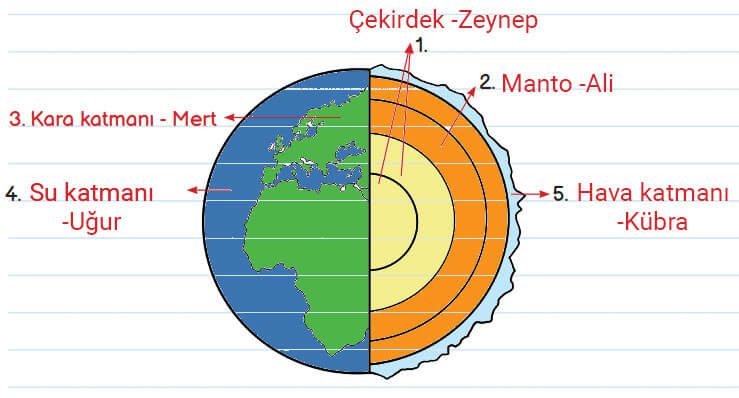 3. Sınıf Fen Bilimleri Ders Kitabı Sayfa 25 Cevapları MEB Yayınları