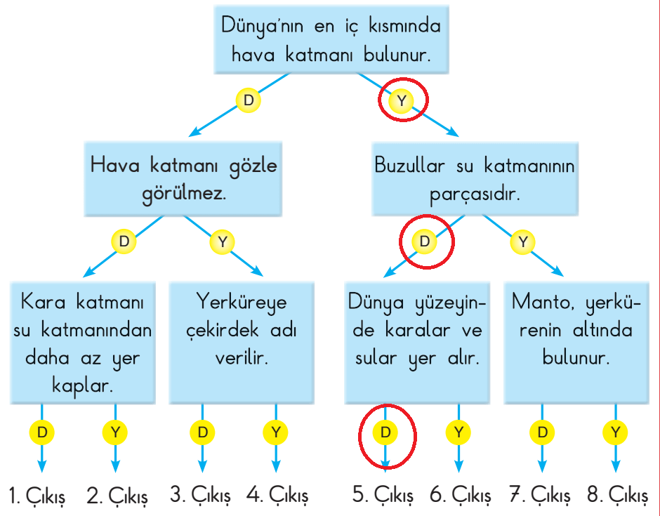 3. Sınıf Fen Bilimleri Ders Kitabı Sayfa 34 Cevapları SDR Dikey Yayıncılık