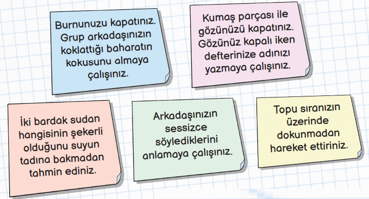 3. Sınıf Fen Bilimleri Ders Kitabı Sayfa 45 Cevapları MEB Yayınları