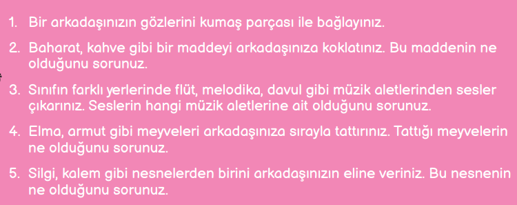 3. Sınıf Fen Bilimleri Ders Kitabı Sayfa 48 Cevapları MEB Yayınları