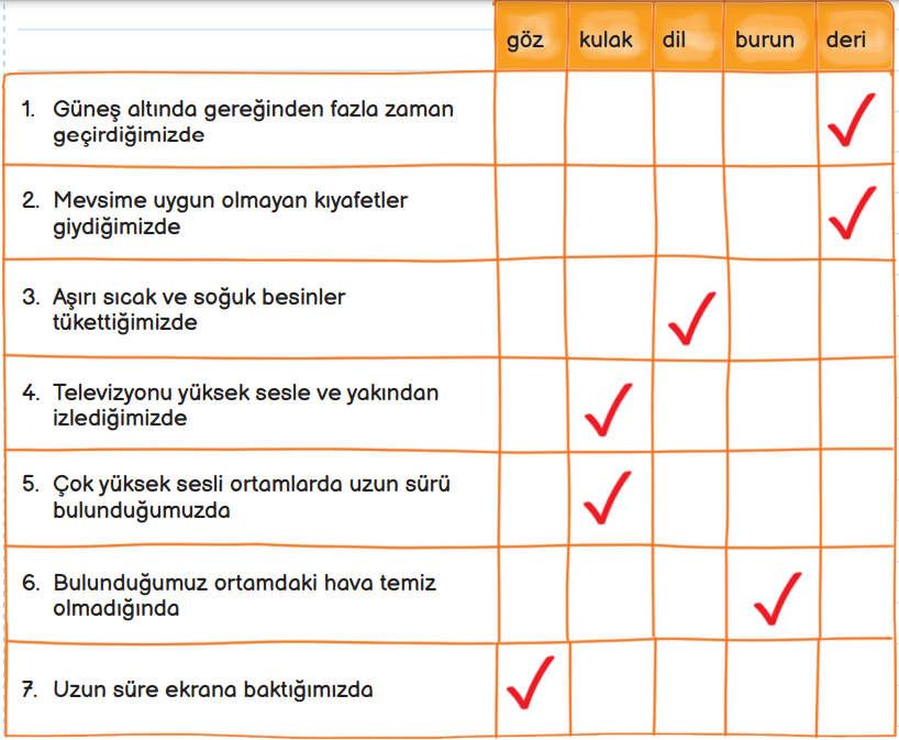 3. Sınıf Fen Bilimleri Ders Kitabı Sayfa 60 Cevapları MEB Yayınları