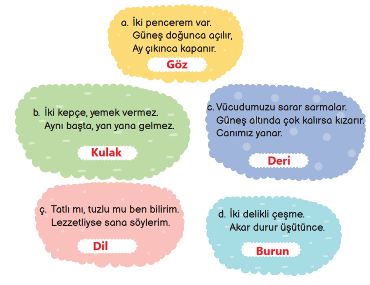 3. Sınıf Fen Bilimleri Ders Kitabı Sayfa 61 Cevapları MEB Yayınları