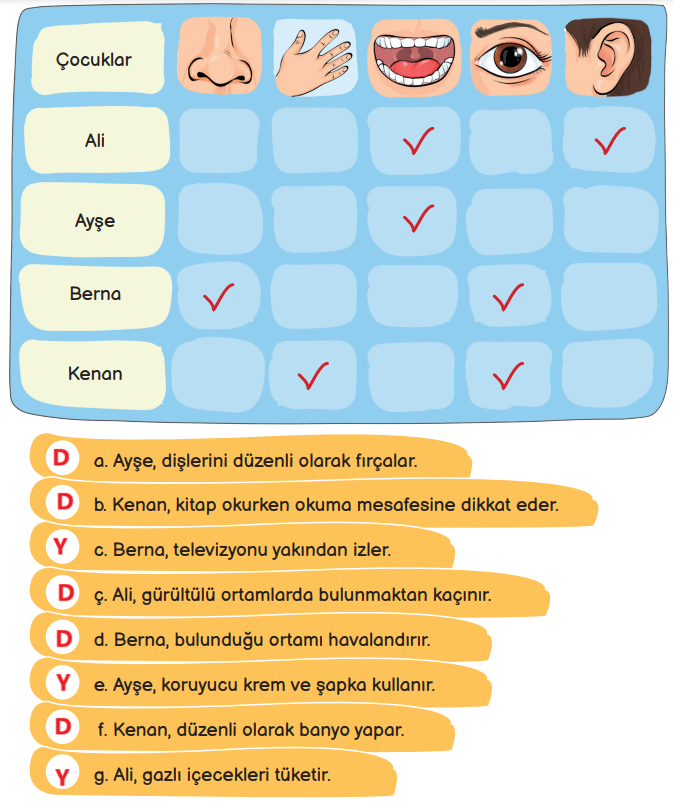 3. Sınıf Fen Bilimleri Ders Kitabı Sayfa 63 Cevapları MEB Yayınları