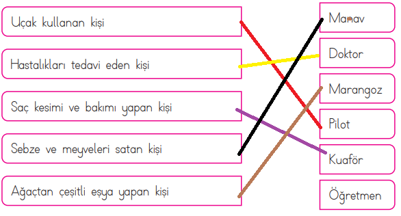 3. Sınıf Hayat Bilgisi Ders Kitabı Sayfa 43 Cevapları MEB Yayınları