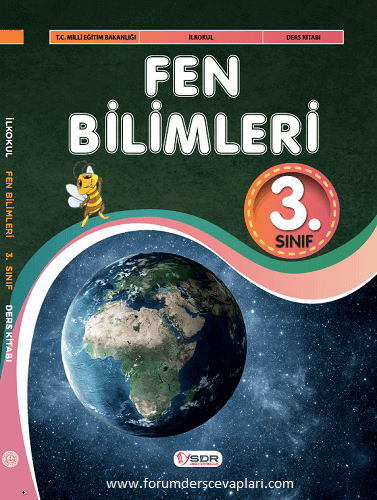 3. Sınıf Fen Bilimleri Ders Kitabı Sayfa Cevapları