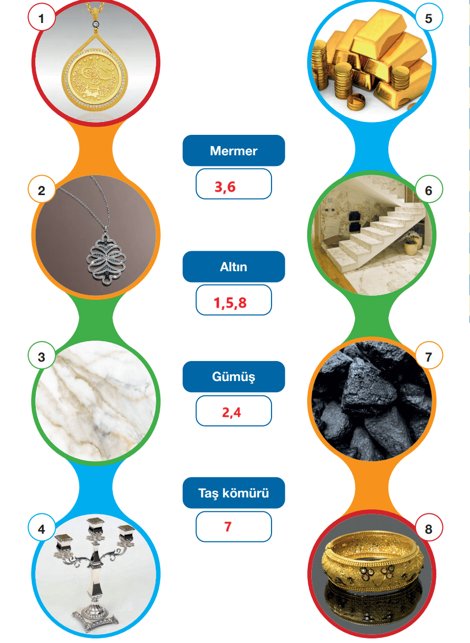 4. Sınıf Fen Bilimleri Ders Kitabı Sayfa 38 Cevapları Pasifik Yayınları