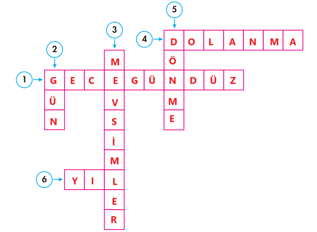 4. Sınıf Fen Bilimleri Ders Kitabı Sayfa 48 Cevapları Pasifik Yayınları