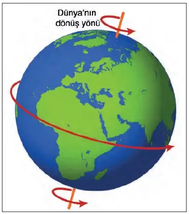 4. Sınıf Fen Bilimleri Ders Kitabı Sayfa 55 Cevapları Pasifik Yayınları