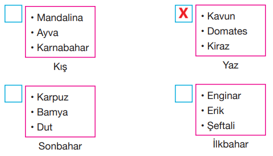 4. Sınıf Fen Bilimleri Ders Kitabı Sayfa 87 Cevapları Pasifik Yayınları1