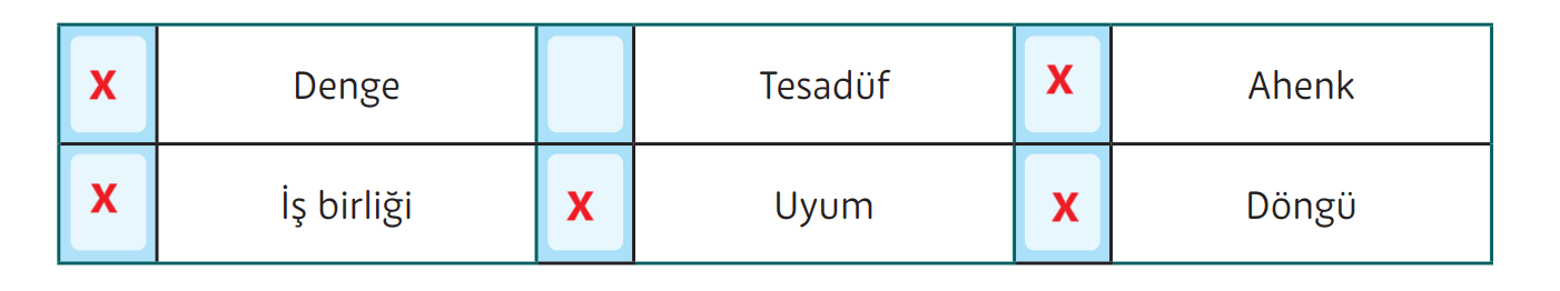 5. Sınıf Din Kültürü Ders Kitabı Sayfa 51 Cevapları MEB Yayınları