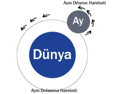 5. Sınıf Fen Bilimleri Ders Kitabı Sayfa 26-27-28-29-30-34. Cevapları MEB Yayınları