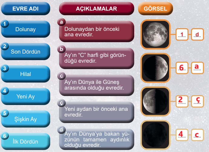 5. Sınıf Fen Bilimleri Ders Kitabı Sayfa 43 Cevapları MEB Yayınları