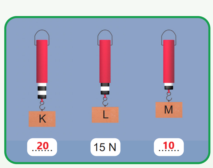 5. Sınıf Fen Bilimleri Ders Kitabı Sayfa 68 Cevapları MEB Yayınları