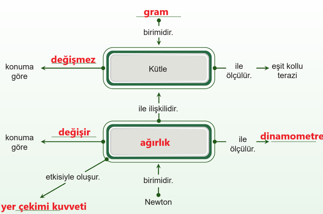 5. Sınıf Fen Bilimleri Ders Kitabı Sayfa 74 Cevapları MEB Yayınları