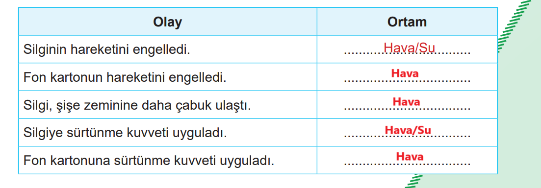 5. Sınıf Fen Bilimleri Ders Kitabı Sayfa 81 Cevapları MEB Yayınları