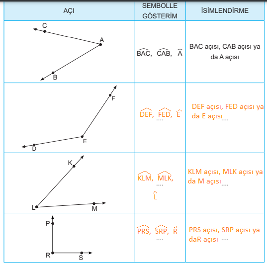 5. Sınıf Matematik Ders Kitabı Sayfa 24 Cevapları MEB Yayınları