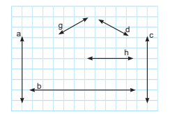 5. Sınıf Matematik Ders Kitabı Sayfa 49 Cevapları MEB Yayınları