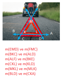 5. Sınıf Matematik Ders Kitabı Sayfa 55 Cevapları MEB Yayınları