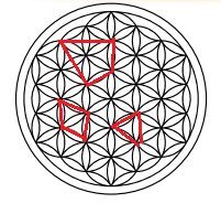 5. Sınıf Matematik Ders Kitabı Sayfa 81 Cevapları MEB Yayınları