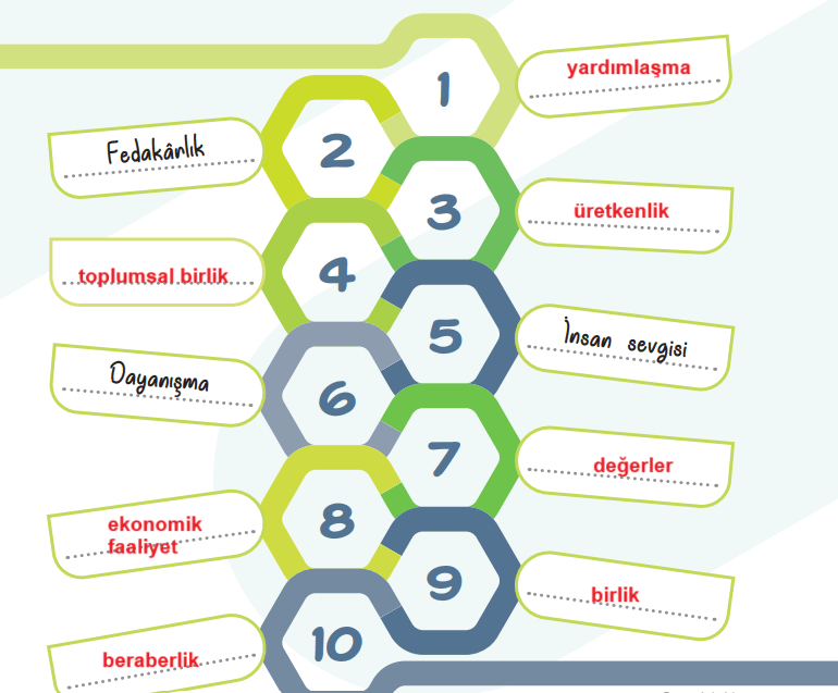 5. Sınıf Sosyal Bilgiler Ders Kitabı Sayfa 43 Cevapları MEB Yayınları