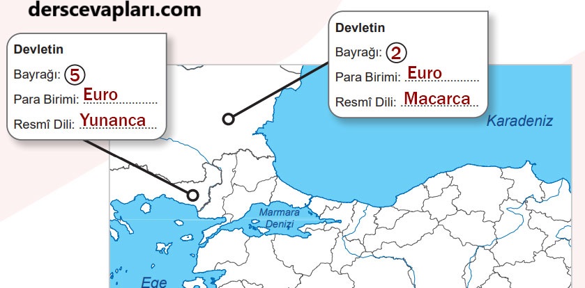 5. Sınıf Sosyal Bilgiler Ders Kitabı Sayfa 86 Cevapları MEB Yayınları