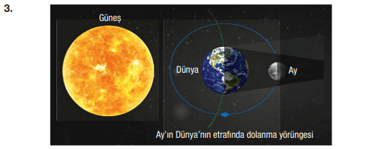 6. Sınıf Fen Bilimleri Ders Kitabı Sayfa 44 Cevapları GÜN Yayıncılık