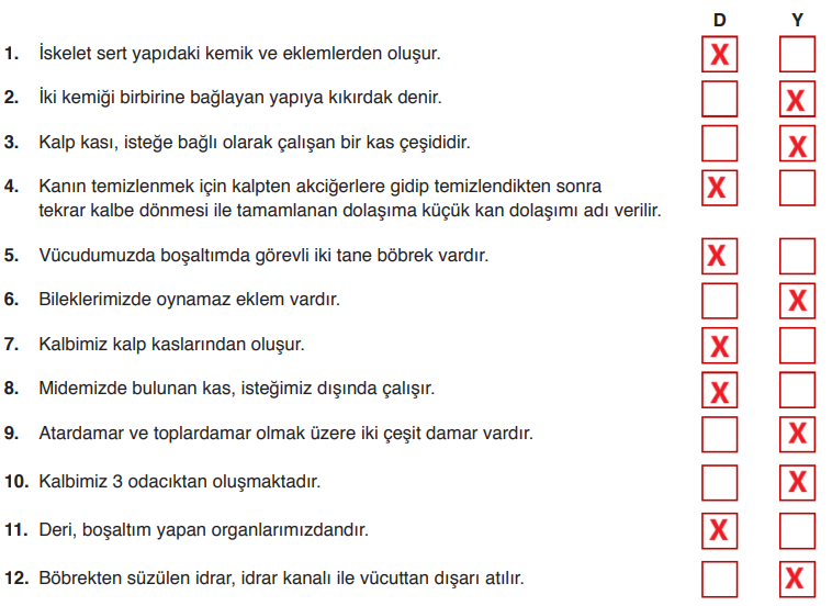 6. Sınıf Fen Bilimleri Ders Kitabı Sayfa  89 Cevapları GÜN Yayıncılık