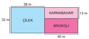 6. Sınıf Matematik Ders Kitabı Sayfa 30 Cevapları MEB Yayınları