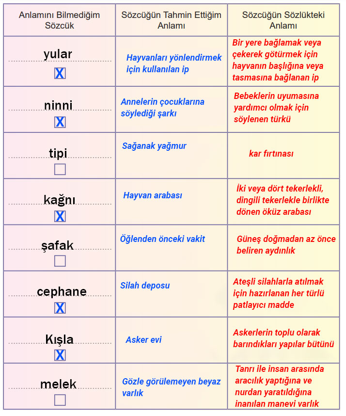 6. Sınıf Türkçe Ders Kitabı Sayfa 62 Cevapları MEB Yayınları