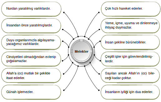 7. Sınıf Din Kültürü Ders Kitabı Sayfa 16 Cevapları Erkad Yayıncılık