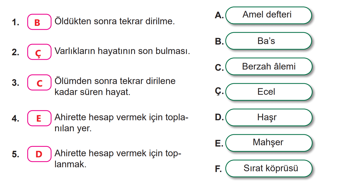 7. Sınıf Din Kültürü Ders Kitabı Sayfa 24 Cevapları MEB Yayınları