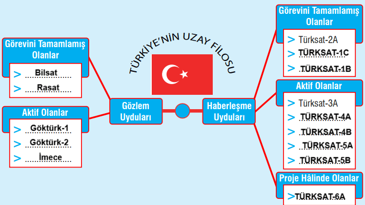 7. Sınıf Fen Bilimleri Ders Kitabı Sayfa 29 Cevapları MEB Yayınları