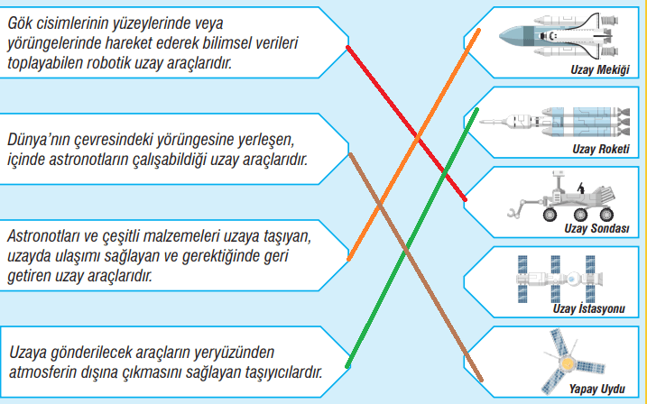 7. Sınıf Fen Bilimleri Ders Kitabı Sayfa 29 Cevapları MEB Yayınları