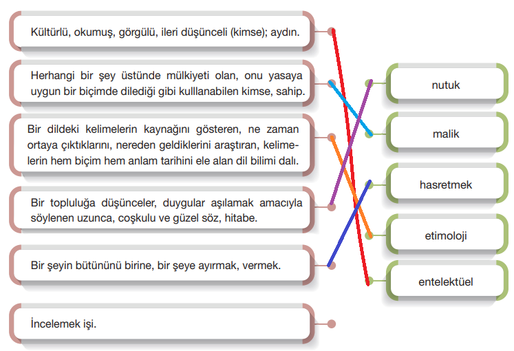 7. Sınıf Türkçe Ders Kitabı Sayfa 59 Cevapları Özgün Yayıncılık