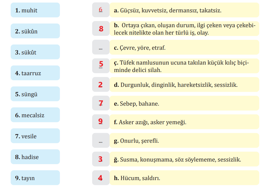 7. Sınıf Türkçe Ders Kitabı Sayfa 64 Cevapları MEB Yayınları