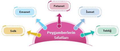 Peygamberlerin Özellikleri ve Görevleri Cevapları