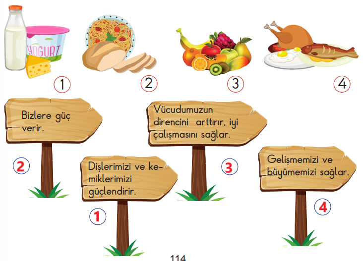 2. Sınıf Hayat Bilgisi Ders Kitabı Sayfa 114 Cevapları MEB Yayınları1