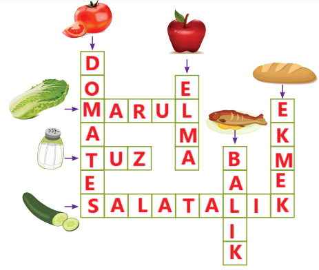 2. Sınıf Hayat Bilgisi Ders Kitabı Sayfa 115 Cevapları MEB Yayınları