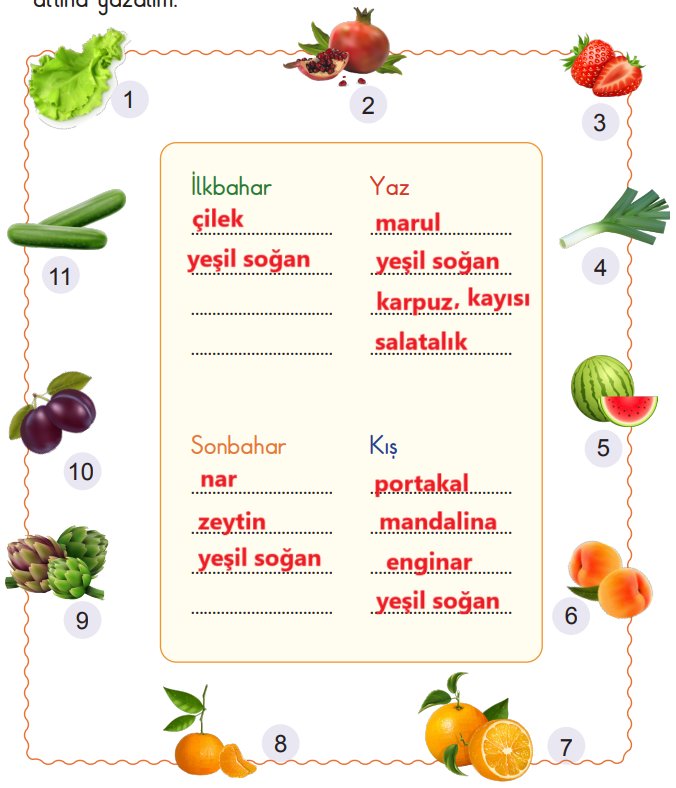 2. Sınıf Hayat Bilgisi Ders Kitabı Sayfa 130 Cevapları MEB Yayınları