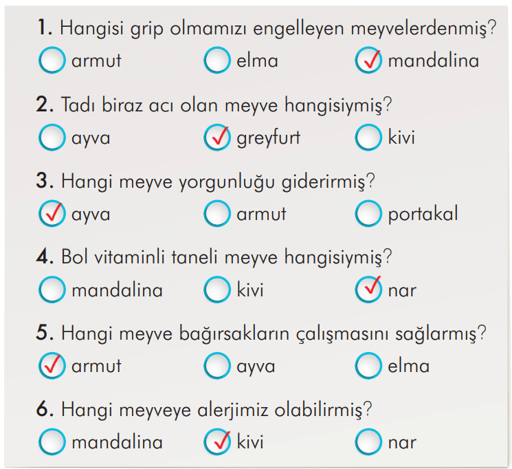 2. Sınıf Türkçe Ders Kitabı Sayfa 102 Cevapları İlke Yayıncılık