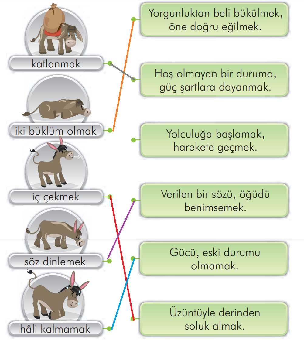 2. Sınıf Türkçe Ders Kitabı Sayfa 134 Cevapları İlke Yayıncılık